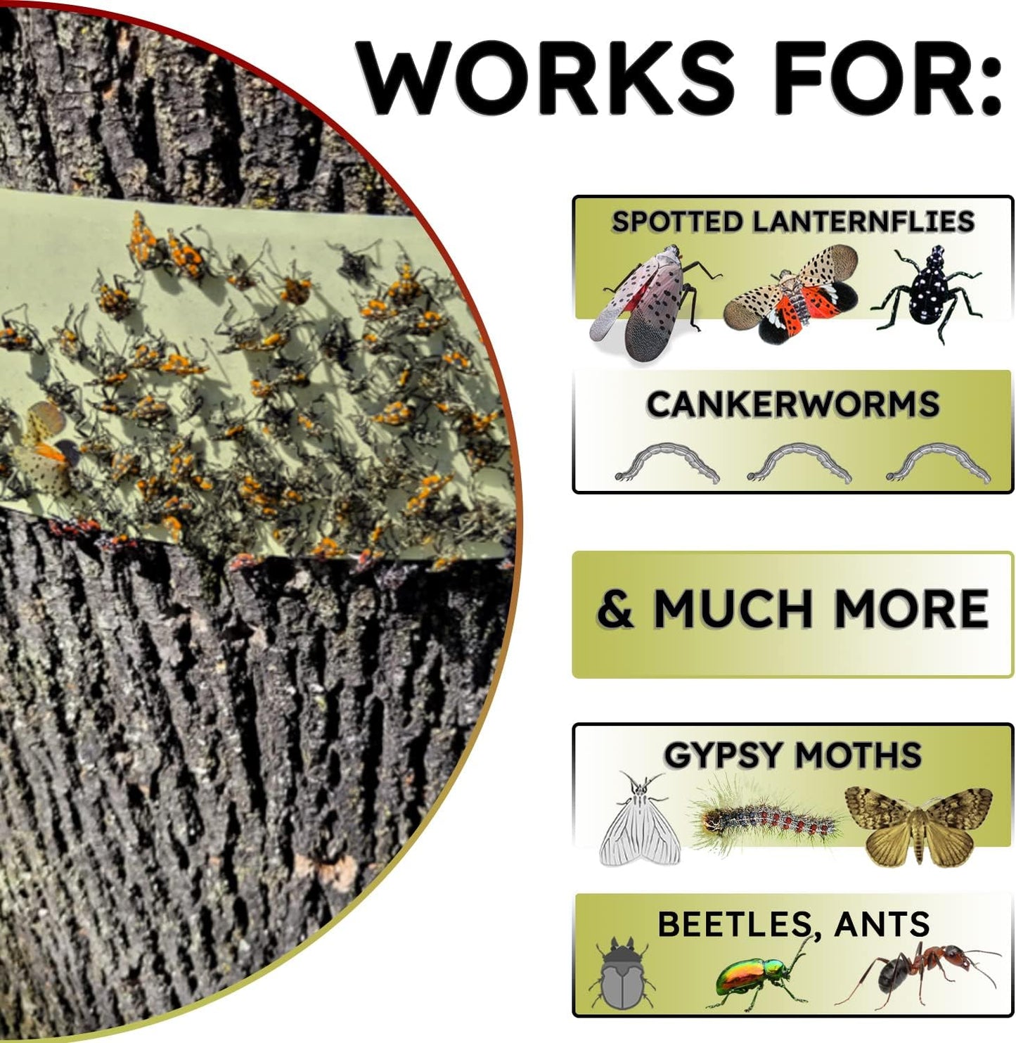 Spotted Lantern Fly Tree Trap - 4 Rolls (30 Feet Each Roll) - Lanternfly Tree Tape Creates a Sticky Barrier Protecting Trees from Harmful Insects - Non-Toxic