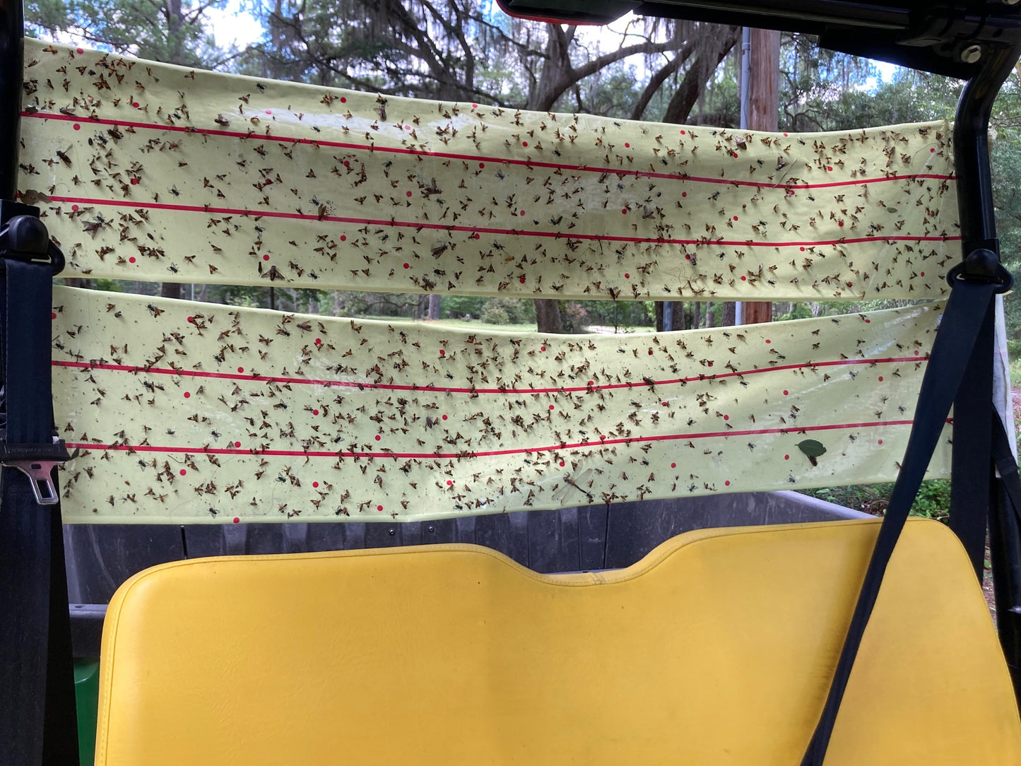 W4W, Giant Sticky Fly Trap Roll - MAX Strength - Outdoor/Indoor - Non Toxic - for Flies and Other Bugs