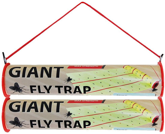 Giant Fly Trap Rolls