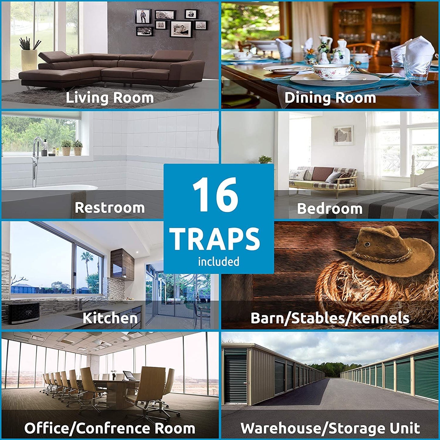 Window Bug & Fly Traps - Non-Toxic & Family Friendly [16 Traps] - W4W Products 