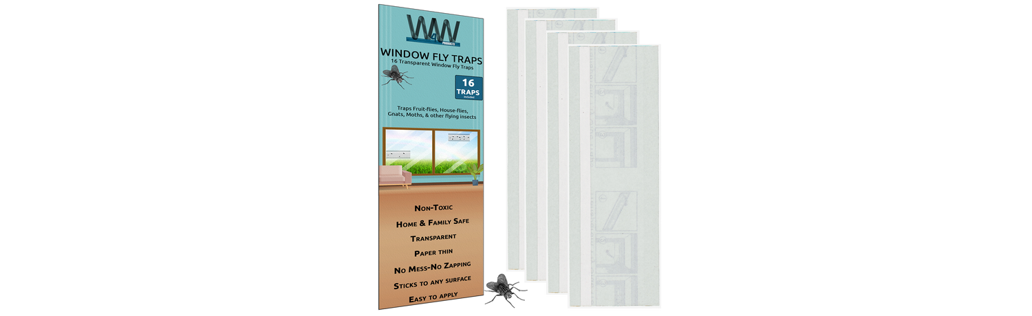window fly trap