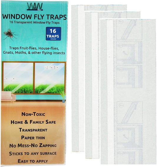 Window Bug & Fly Traps - Non-Toxic & Family Friendly [16 Traps]