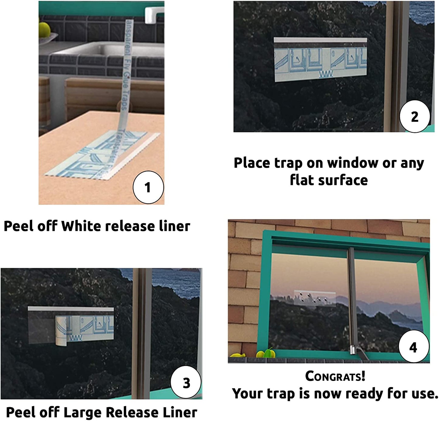 Window Bug & Fly Traps - Non-Toxic & Family Friendly [16 Traps]